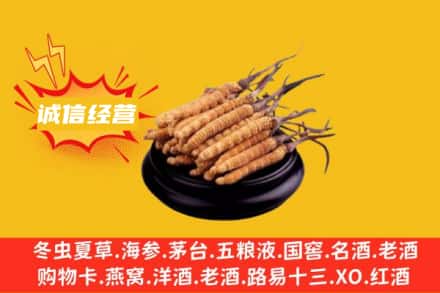玉树回收冬虫夏草